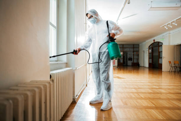 Best Local Pest Control Services  in Mount Morris, MI